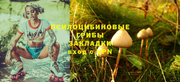 винт Алзамай